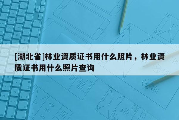 [湖北省]林业资质证书用什么照片，林业资质证书用什么照片查询