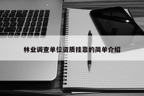 林业调查单位资质挂靠的简单介绍