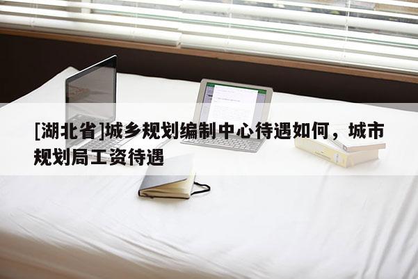 [湖北省]城乡规划编制中心待遇如何，城市规划局工资待遇