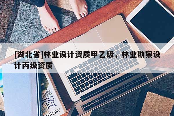 [湖北省]林业设计资质甲乙级，林业勘察设计丙级资质