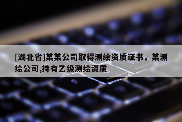 [湖北省]某某公司取得测绘资质证书，某测绘公司,持有乙级测绘资质