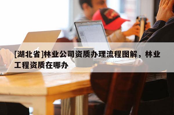 [湖北省]林业公司资质办理流程图解，林业工程资质在哪办