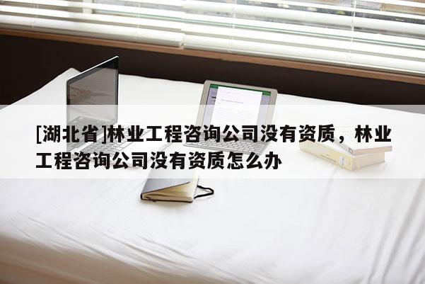 [湖北省]林业工程咨询公司没有资质，林业工程咨询公司没有资质怎么办