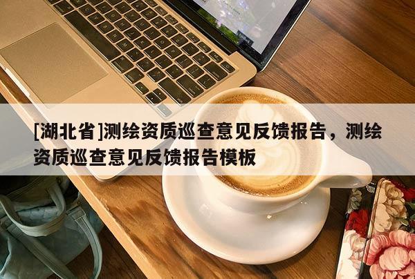 [湖北省]测绘资质巡查意见反馈报告，测绘资质巡查意见反馈报告模板