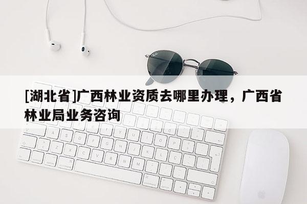 [湖北省]广西林业资质去哪里办理，广西省林业局业务咨询