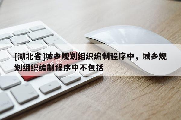 [湖北省]城乡规划组织编制程序中，城乡规划组织编制程序中不包括