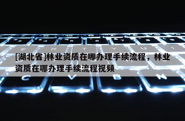 [湖北省]林业资质在哪办理手续流程，林业资质在哪办理手续流程视频