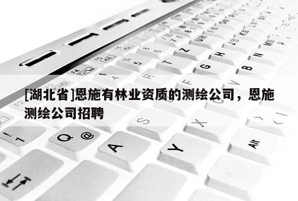 [湖北省]恩施有林业资质的测绘公司，恩施测绘公司招聘