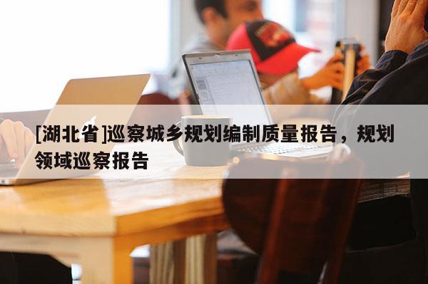 [湖北省]巡察城乡规划编制质量报告，规划领域巡察报告
