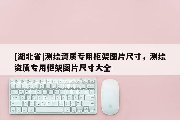 [湖北省]测绘资质专用柜架图片尺寸，测绘资质专用柜架图片尺寸大全