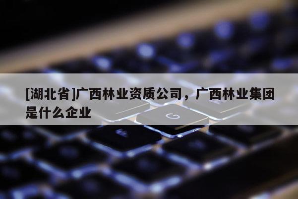 [湖北省]广西林业资质公司，广西林业集团是什么企业