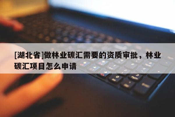 [湖北省]做林业碳汇需要的资质审批，林业碳汇项目怎么申请