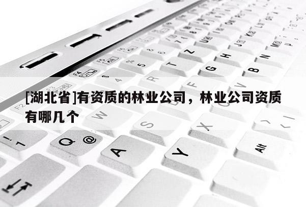 [湖北省]有资质的林业公司，林业公司资质有哪几个