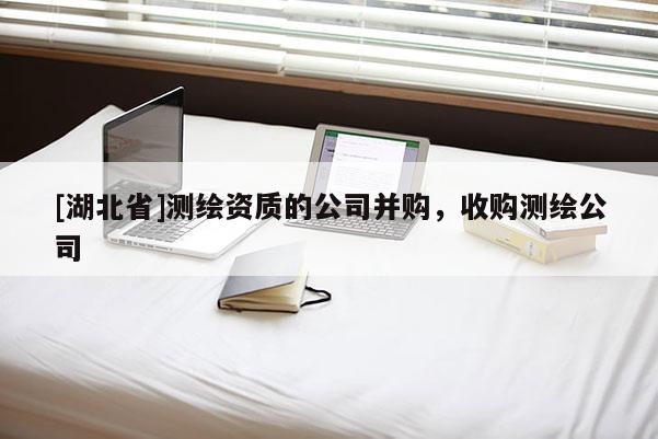 [湖北省]测绘资质的公司并购，收购测绘公司