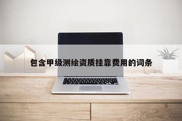 包含甲级测绘资质挂靠费用的词条