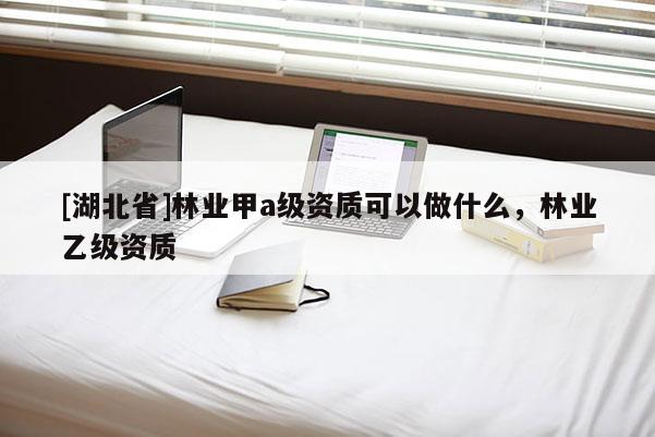 [湖北省]林业甲a级资质可以做什么，林业乙级资质