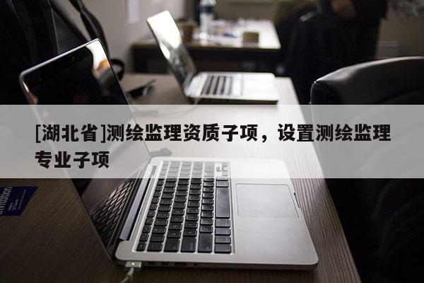 [湖北省]测绘监理资质子项，设置测绘监理专业子项