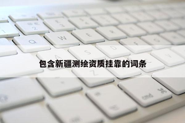 包含新疆测绘资质挂靠的词条