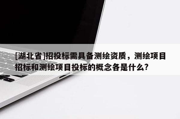 [湖北省]招投标需具备测绘资质，测绘项目招标和测绘项目投标的概念各是什么?