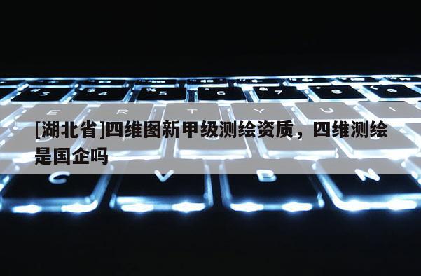 [湖北省]四维图新甲级测绘资质，四维测绘是国企吗