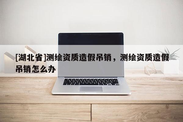 [湖北省]测绘资质造假吊销，测绘资质造假吊销怎么办