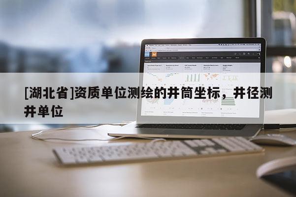 [湖北省]资质单位测绘的井筒坐标，井径测井单位