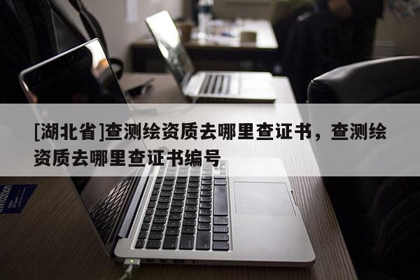 [湖北省]查测绘资质去哪里查证书，查测绘资质去哪里查证书编号