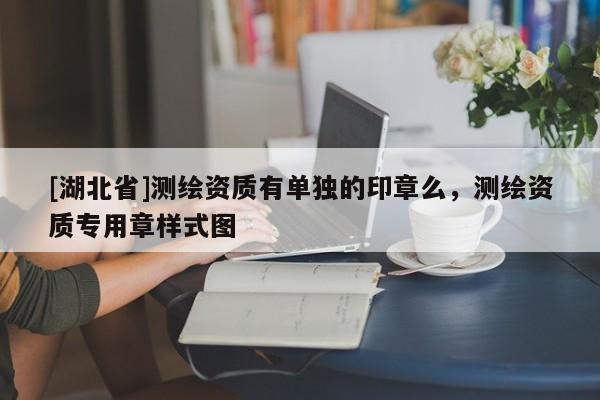 [湖北省]测绘资质有单独的印章么，测绘资质专用章样式图