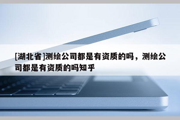 [湖北省]测绘公司都是有资质的吗，测绘公司都是有资质的吗知乎