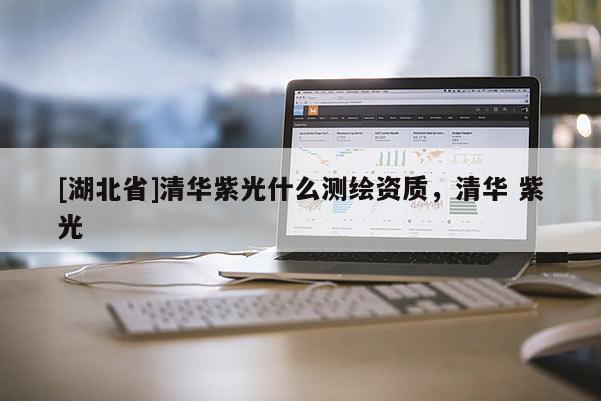 [湖北省]清华紫光什么测绘资质，清华 紫光