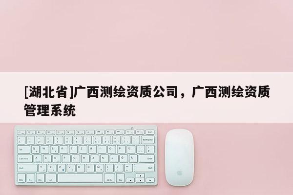 [湖北省]广西测绘资质公司，广西测绘资质管理系统