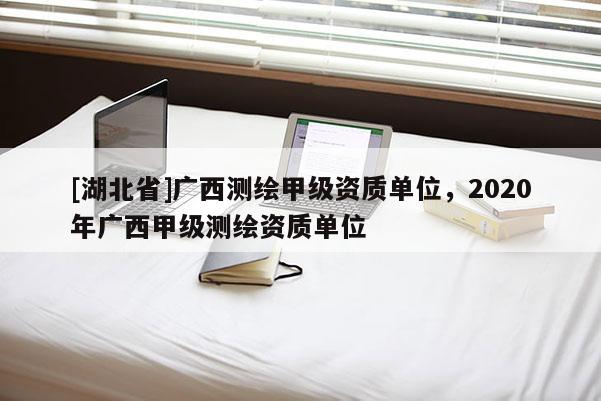 [湖北省]广西测绘甲级资质单位，2020年广西甲级测绘资质单位