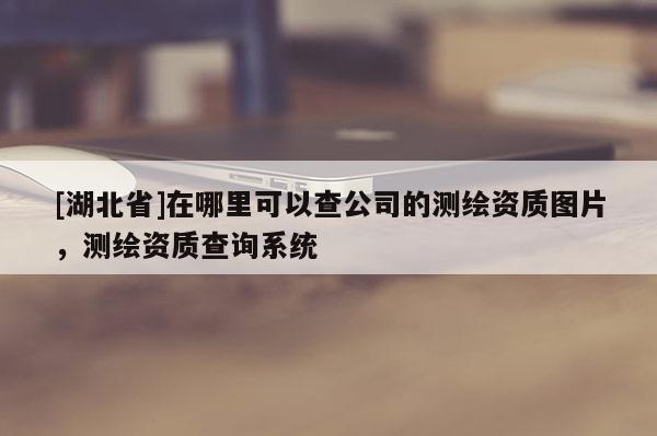 [湖北省]在哪里可以查公司的测绘资质图片，测绘资质查询系统