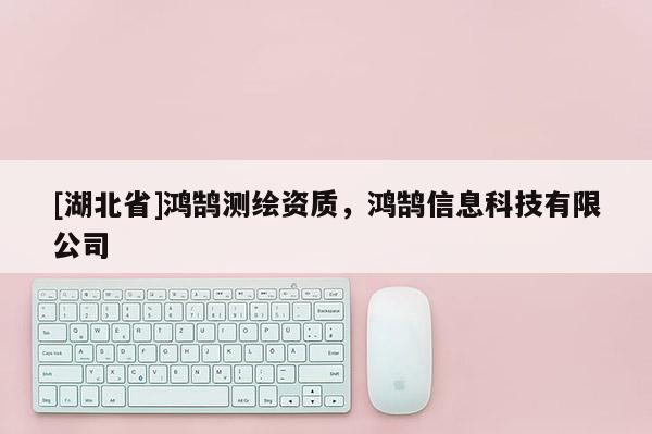 [湖北省]鸿鹄测绘资质，鸿鹄信息科技有限公司