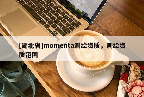 [湖北省]momenta测绘资质，测绘资质范围