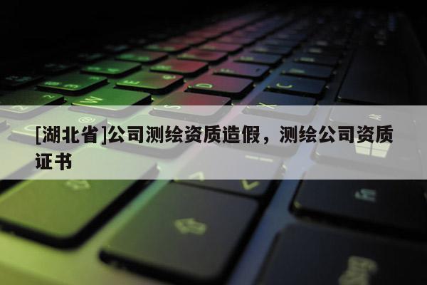 [湖北省]公司测绘资质造假，测绘公司资质证书