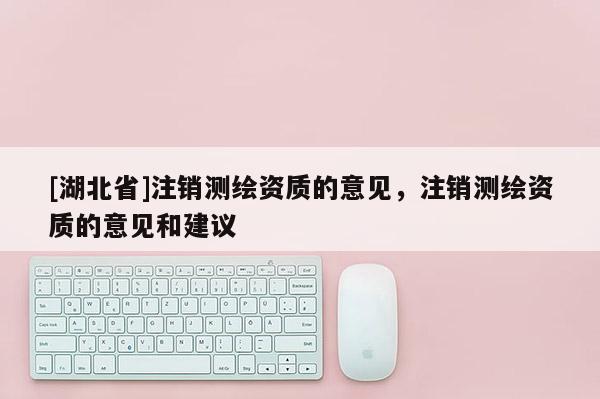 [湖北省]注销测绘资质的意见，注销测绘资质的意见和建议