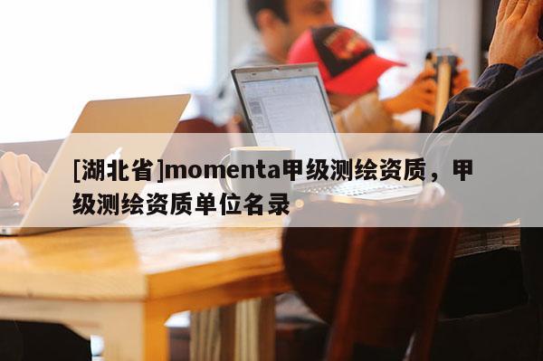 [湖北省]momenta甲级测绘资质，甲级测绘资质单位名录