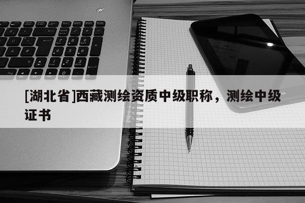 [湖北省]西藏测绘资质中级职称，测绘中级证书