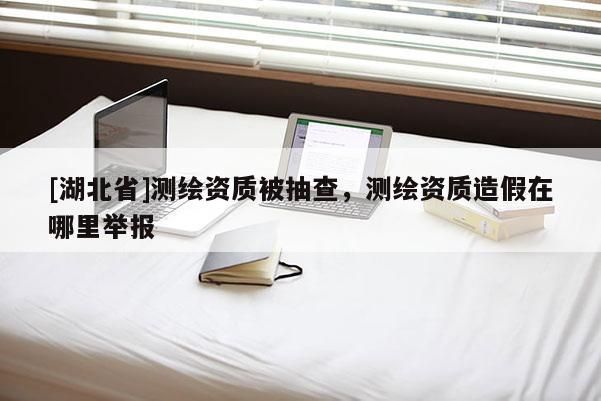 [湖北省]测绘资质被抽查，测绘资质造假在哪里举报