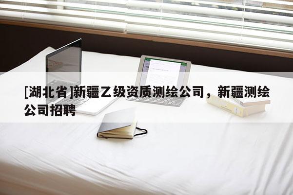 [湖北省]新疆乙级资质测绘公司，新疆测绘公司招聘