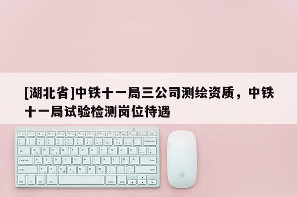 [湖北省]中铁十一局三公司测绘资质，中铁十一局试验检测岗位待遇