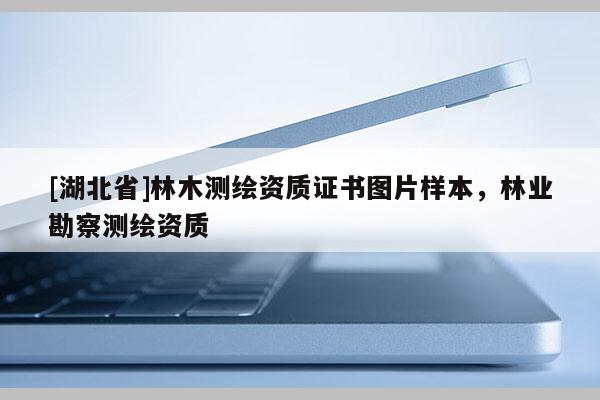[湖北省]林木测绘资质证书图片样本，林业勘察测绘资质