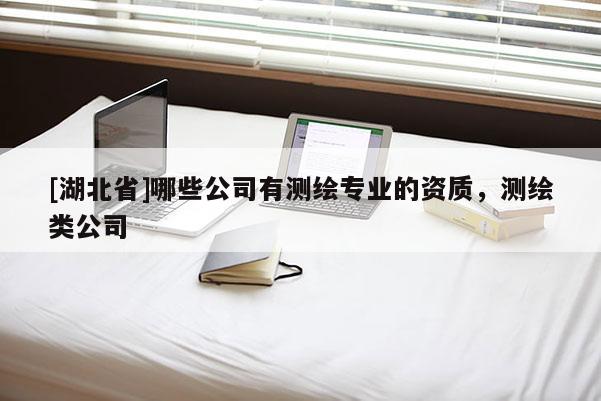 [湖北省]哪些公司有测绘专业的资质，测绘类公司