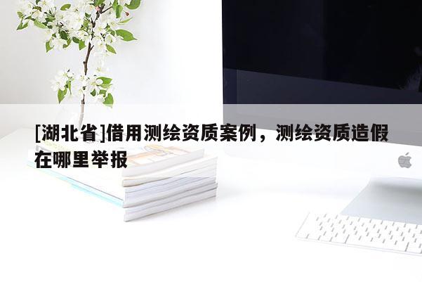 [湖北省]借用测绘资质案例，测绘资质造假在哪里举报