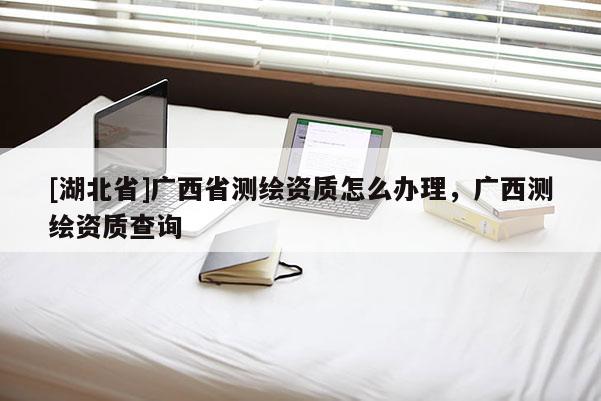 [湖北省]广西省测绘资质怎么办理，广西测绘资质查询