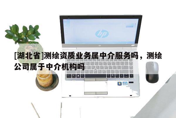 [湖北省]测绘资质业务属中介服务吗，测绘公司属于中介机构吗