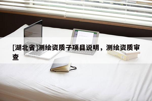 [湖北省]测绘资质子项目说明，测绘资质审查
