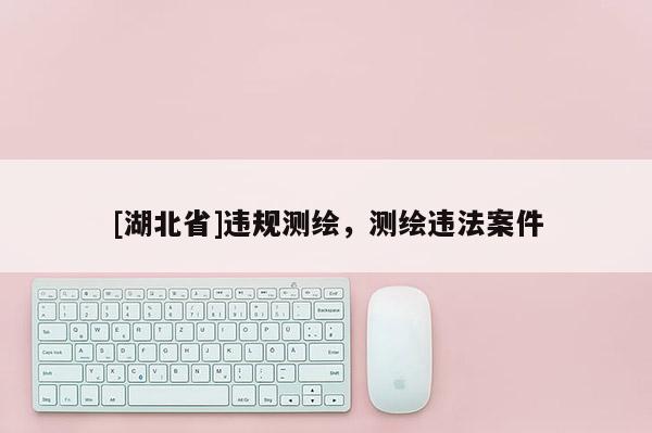 [湖北省]违规测绘，测绘违法案件